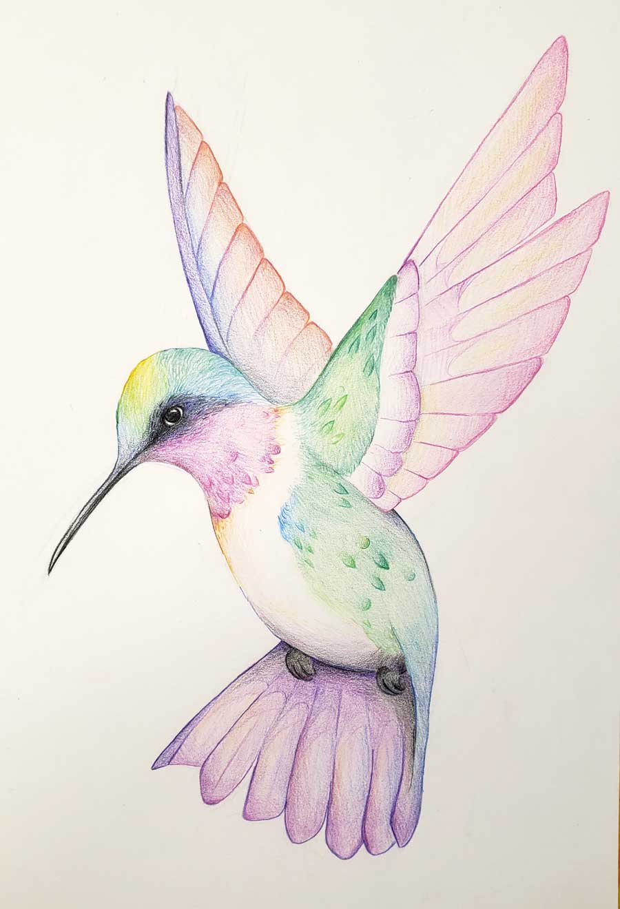 Dessin Colibri