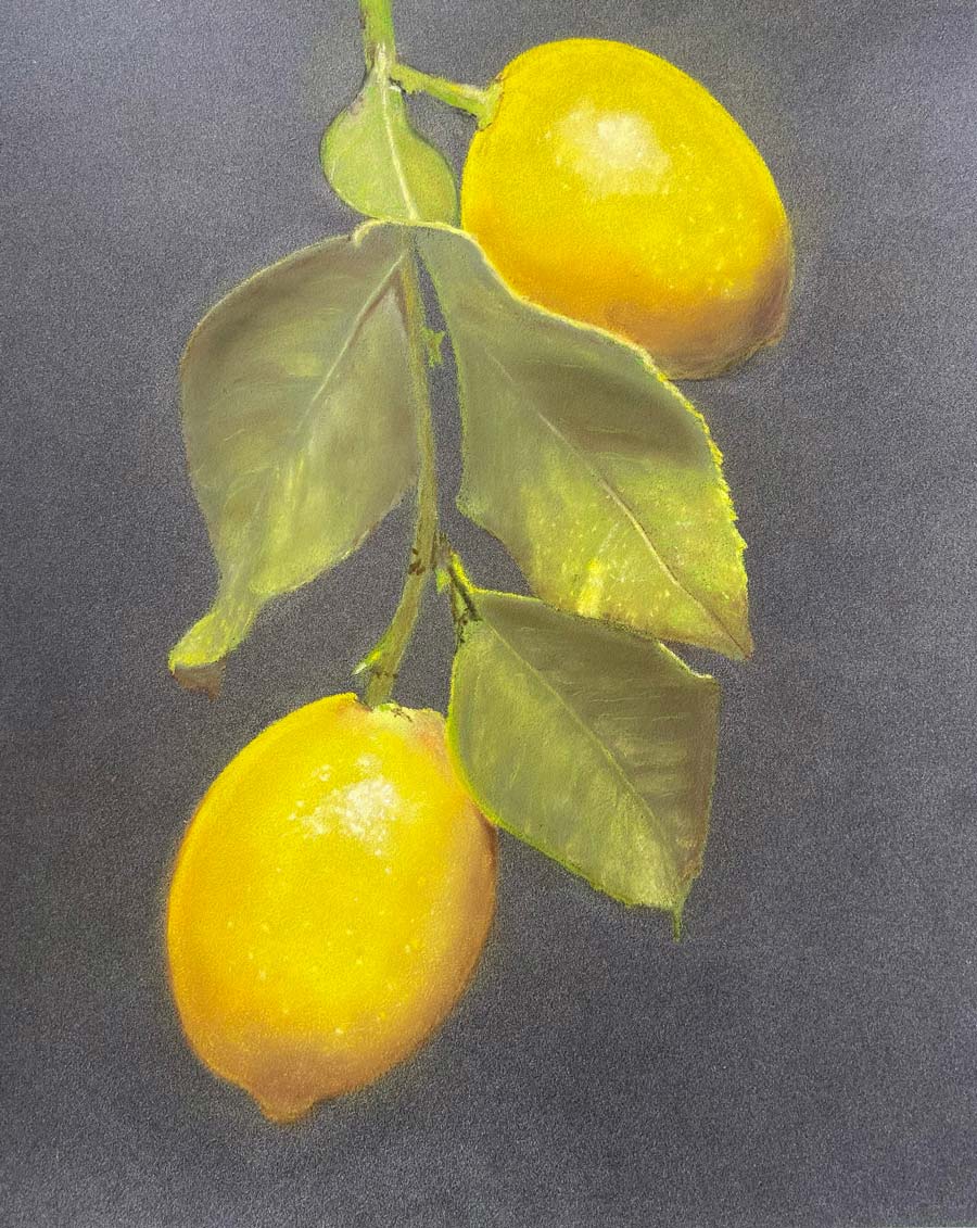 Citrons