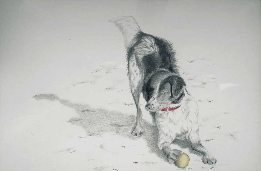 Chien