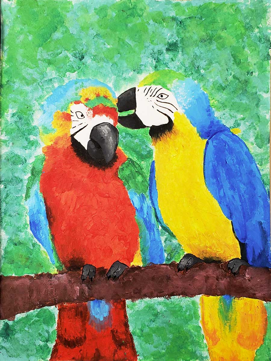 Peinture couple perroquet